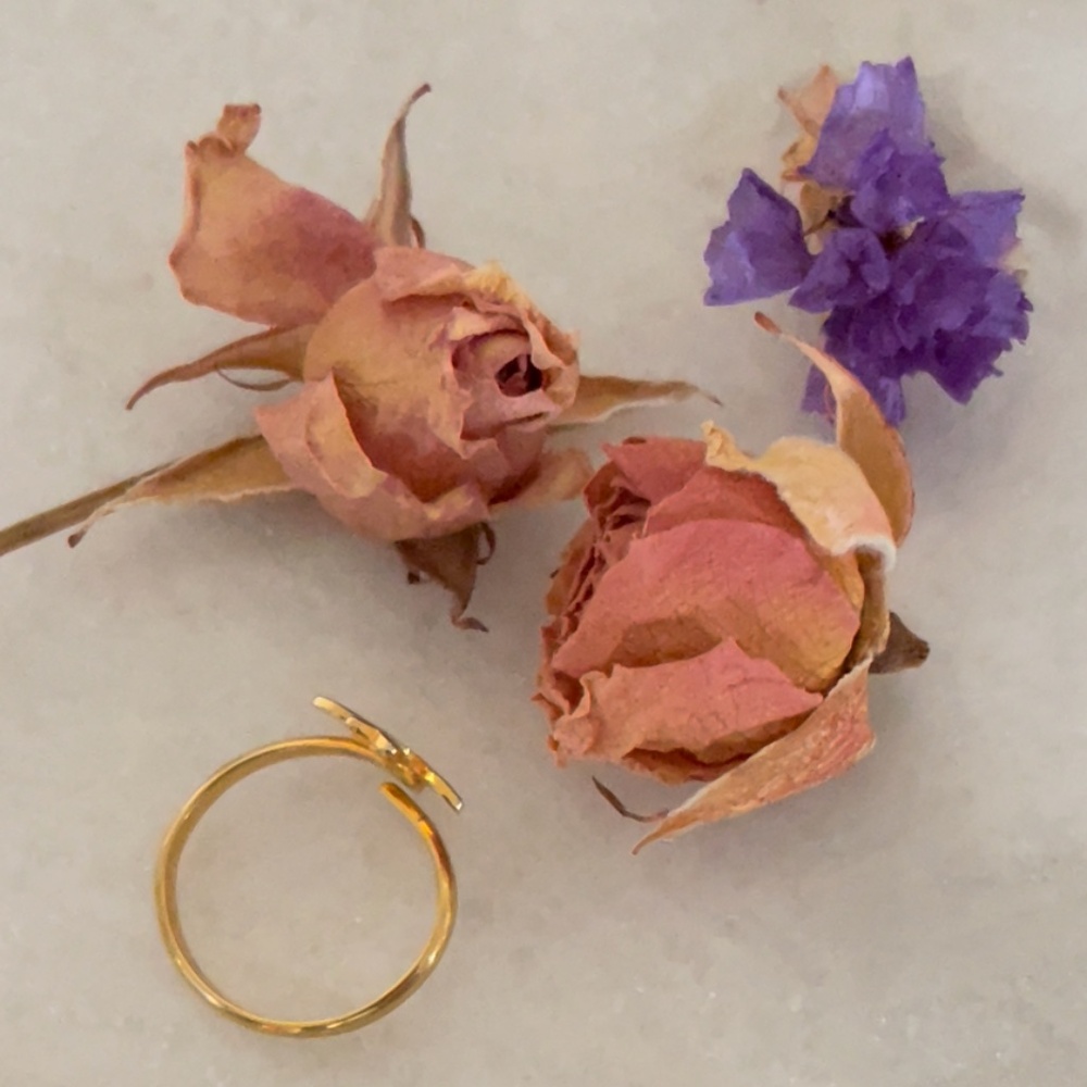 ‘Fly Free’ Bird Ring Adjustable - image 4